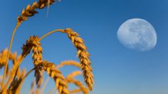 Luna llena de Cosecha 2022, así afecta a los signos del zodiaco hoy 10 de septiembre