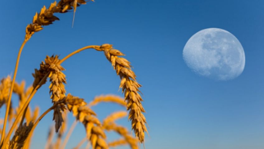 Luna llena de Cosecha 2022, así afecta a los signos del zodiaco hoy 10 de septiembre