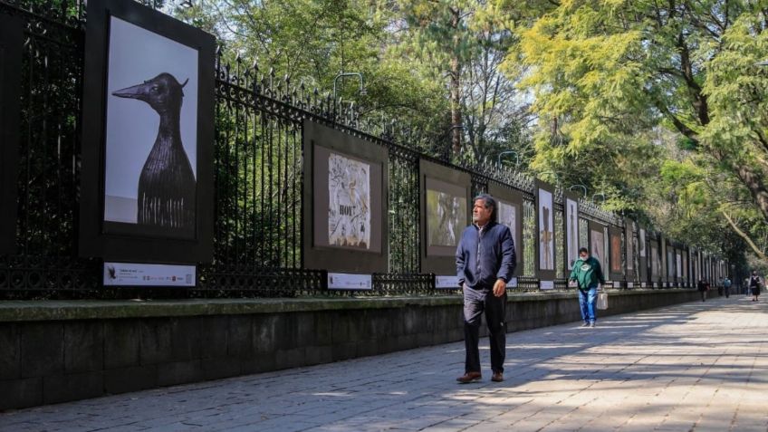 Sedema invita a capitalinos a exposición ANIMALÍSTICA en el Bosque de Chapultepec