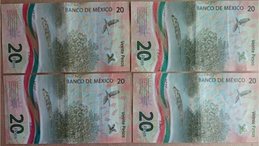 ¡Son 4 y muy comunes! Reúne estos billetes de 20 pesos y véndelos hasta en 10 mil