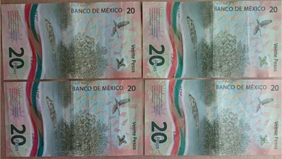 Estos billetes se venden en un elevado precio.