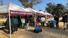 Sedema CDMX anuncia nueva jornada del Mercado del Trueque en Bosque de Tlalpan