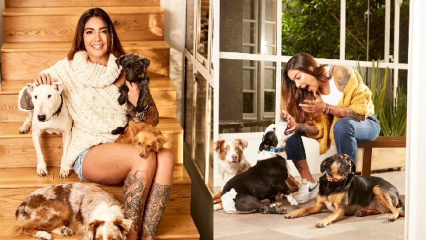 Erika Fernández asume su misión de crear conciencia canina con su programa "La loca de los perros"