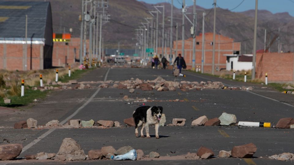 100 intelectuales peruanos solicitaron a Boluarte 'cesar las matanzas'.