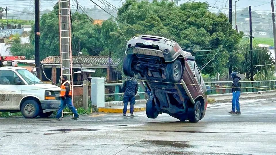 Las imágenes sorprendieron a miles de internautas.