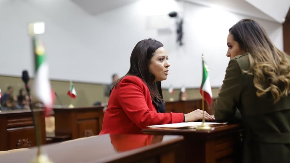 Diputada del Congreso de Aguascalientes