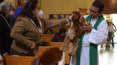 FOTOS: miles de mascotas y animales son bendecidos durante la conmemoración de San Antonio Abad