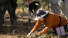 "No trabajan": las madres buscadoras estallan contra el gobierno por no hallar a las personas desaparecidas