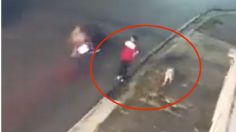 VIDEO | ¡Todo un héroe peludo! Perrito salvó a su dueño de un asalto, pero perdió su patita tras ser baleado