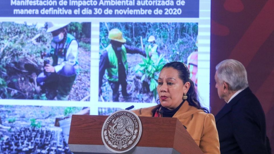 La secretaria de Medio Ambiente detalló que se trata de más de 500 mil hectáreas.