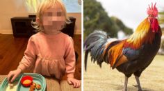 Un gallo de mascota ataca a una pequeña y su mamá lo hace nuggets como venganza