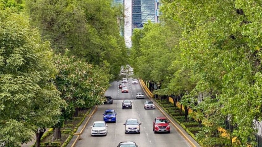 Multas CDMX: esto deberás pagar si conduces sin licencia