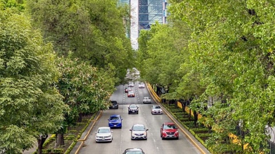 Varios autos circulando por calles de la CDMX.