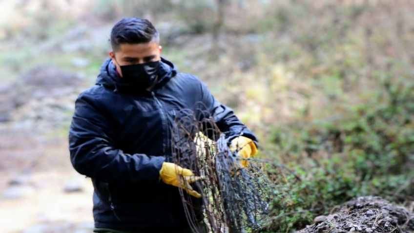 Sedema recupera 38.5 hectáreas de Suelo de Conservación en el Ajusco