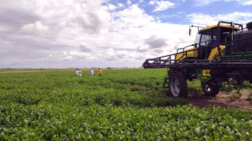 Aristóteles Vaca Pérez: el sector agropecuario sumará 300 millones de toneladas de producción