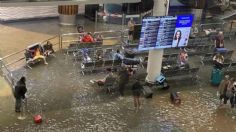 VIDEOS: las apocalípticas inundaciones que tienen en alerta a Nueva Zelanda