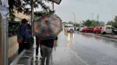 Clima boicotea iniciativa “Un día sin taxi” en Cancún