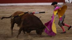 Corridas de toros en las manos de la SCJN