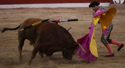 Congreso de CDMX admite iniciativa ciudadana para prohibir espectáculos taurinos