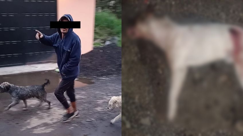 El mataperros de Xochimilco: una joven denuncia a un hombre que impunemente asesinó a su pequeño Pache