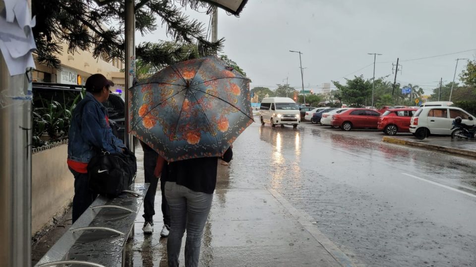 Pese a que diversos socios se unieron a la iniciativa ciudadana  muchos taxis no pudieron circular durante la mañana por las fuertes lluvias