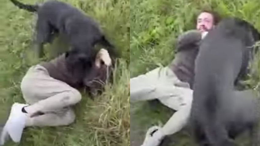 VIDEO | Hombre se cita con una menor de edad tras conocerla en Internet, cuando llega lo recibe el padre y sus perros