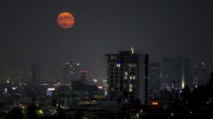 Calendario Lunar de marzo: "Luna de Gusano", Equinoccio de Primavera y otros eventos astronómicos