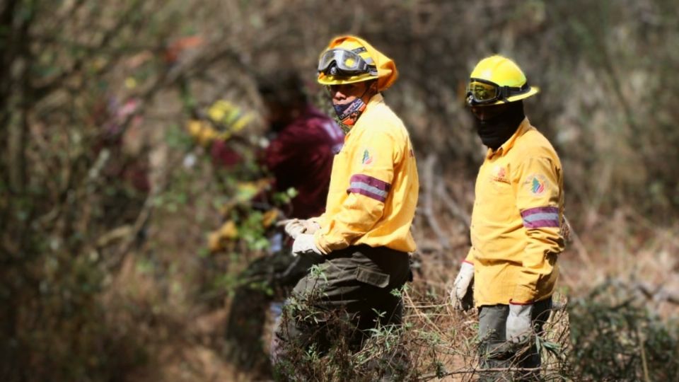 Personal de Corenadr en Suelo de Conservación en el Ajusco