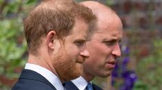 A golpes, Harry defendió a su esposa Meghan de los insultos de su hermano William