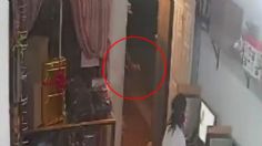 VIDEO |  Sujeto dispara a quemarropa a una mujer dentro de un café internet en Tlajomulco