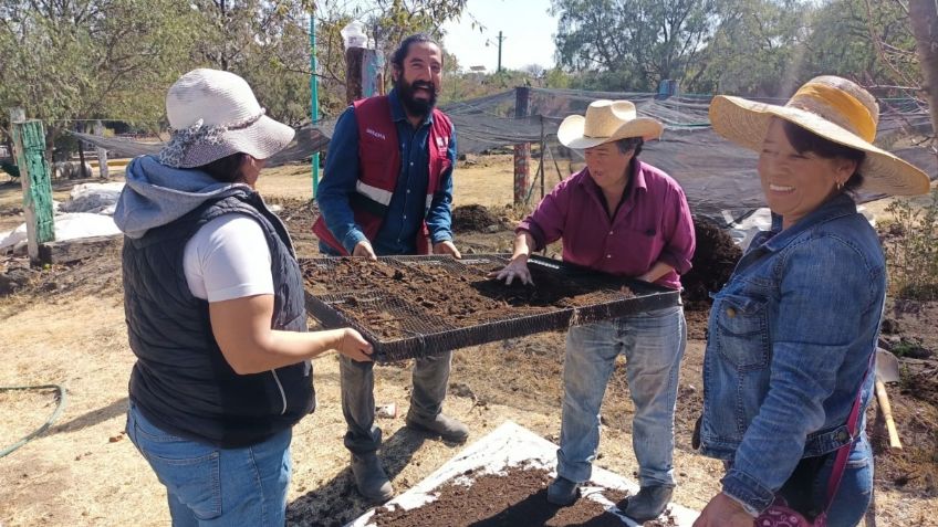 Aprende a elaborar lombricomposta casera en los Huertos-Escuelas de Sedema