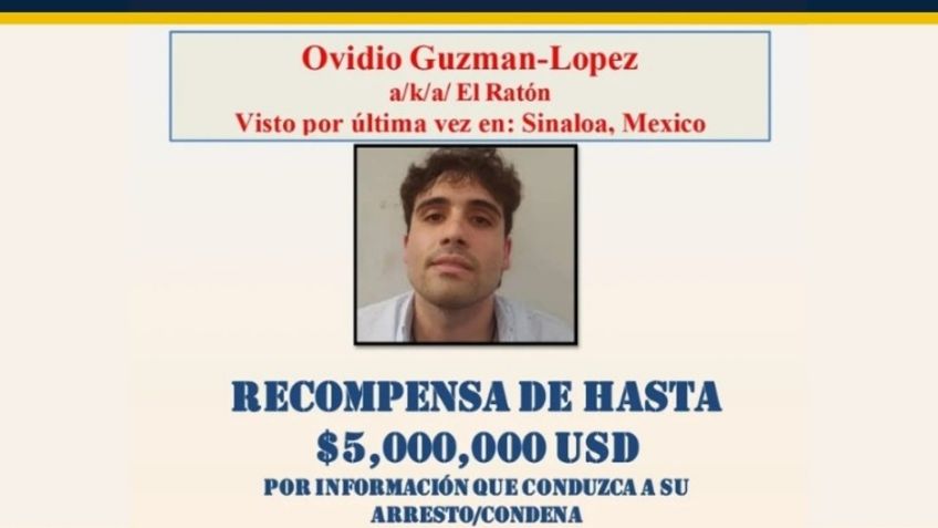 Recapturan a Ovidio Guzmán, hijo del "Chapo", en Jesús María, Sinaloa