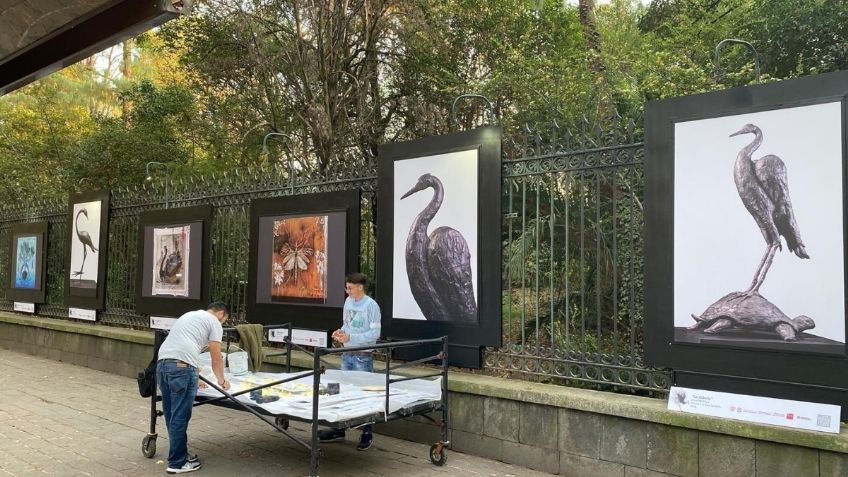 Amador Montes presenta su fauna creativa en las rejas de Chapultepec