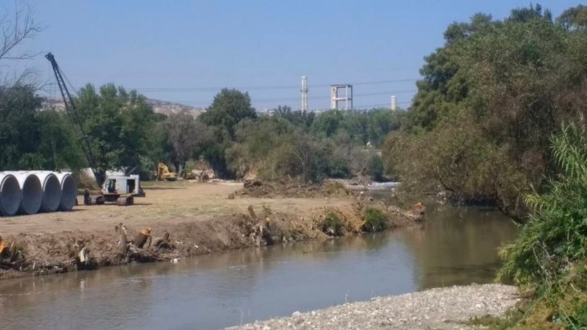 Ecocidio en Tula: vecinos denuncian tala de árboles en las laderas del río