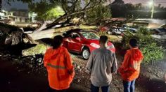 Colima: tormenta eléctrica deja derrumbes e incendios en varios municipios del estado