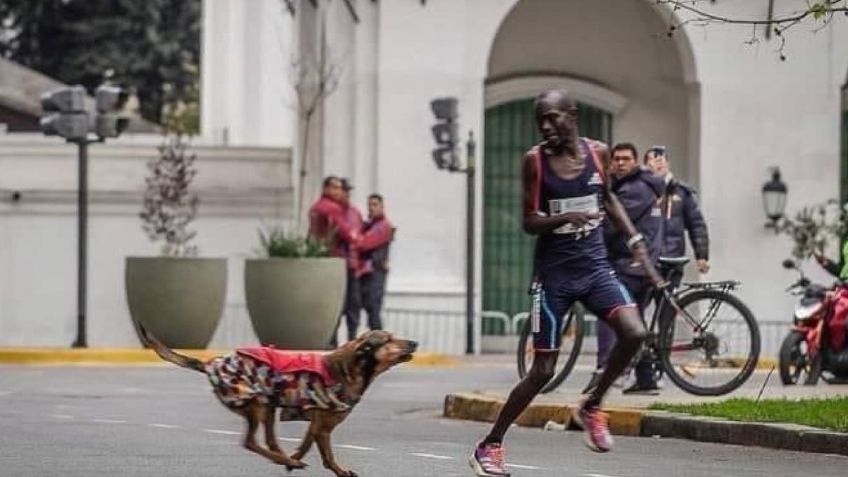 Hombre iba a ganar un maratón, pero fue atacado por un perro y quedó en tercer lugar