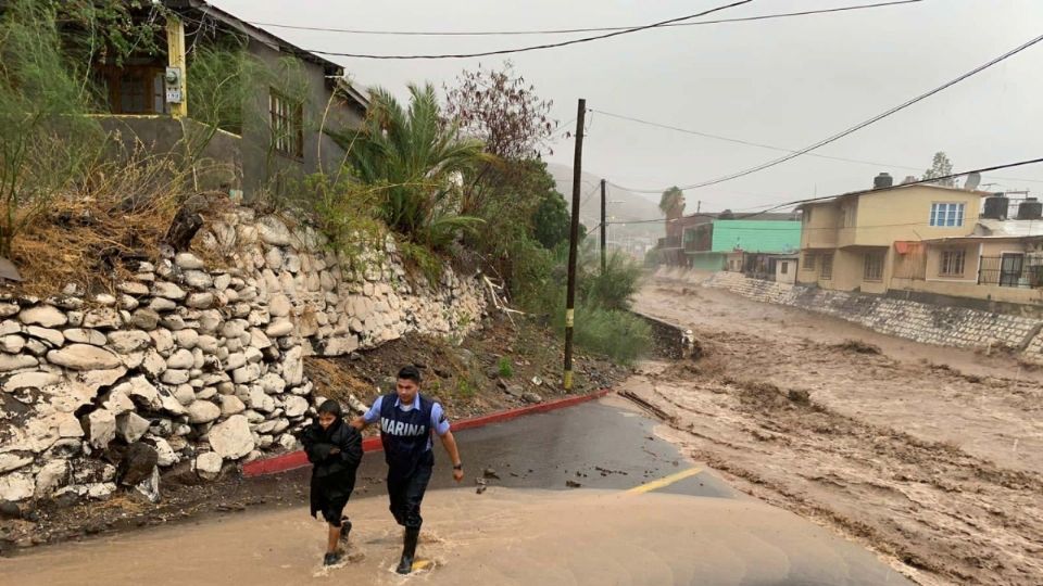 20 mil elementos de las fuerzas armadas estarán en Baja California Sur y Sinaloa