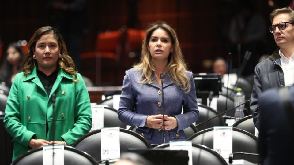 La diputada Laura Barrera pidió que se condenaran estos hechos