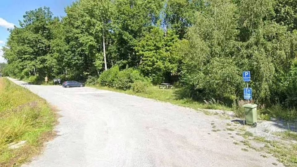 El cuerpo del taxista fue hallado en un bosque lejano cerca de Estocolmo.