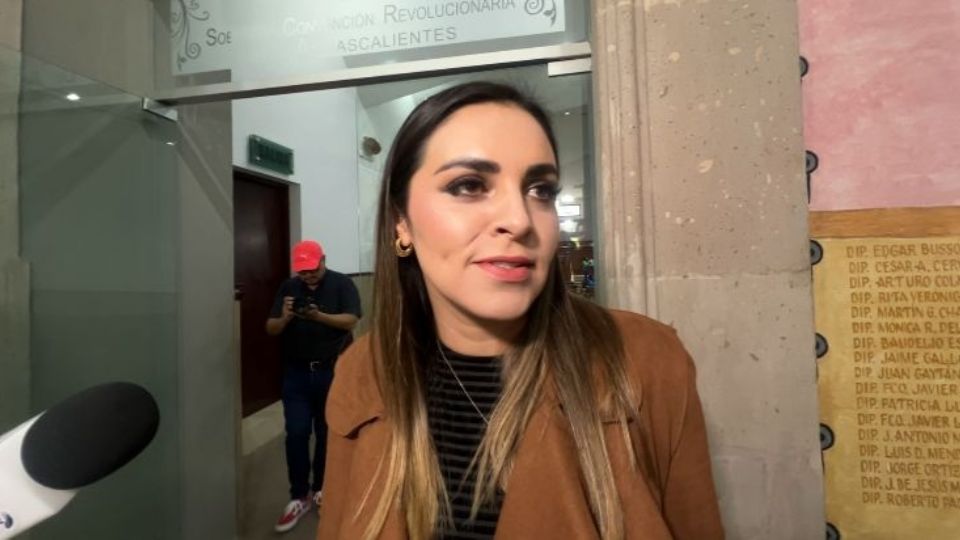 Diputada del Congreso de Aguascalientes