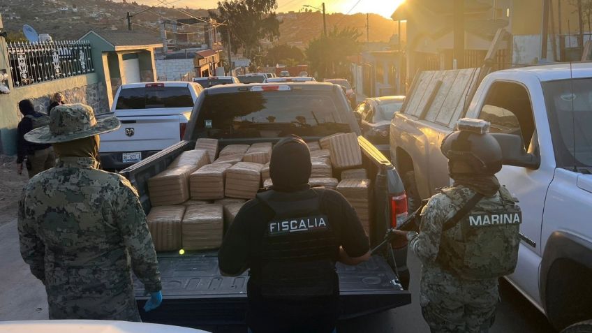 Incautan más de 800 kilos de drogas en cateo realizado en Ensenada