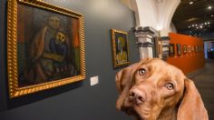 ¿Un museo repleto de perritos? Llega a la CDMX una exposición dedicada al mejor amigo del hombre