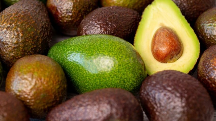 Aguacateros pactan plan de mejora