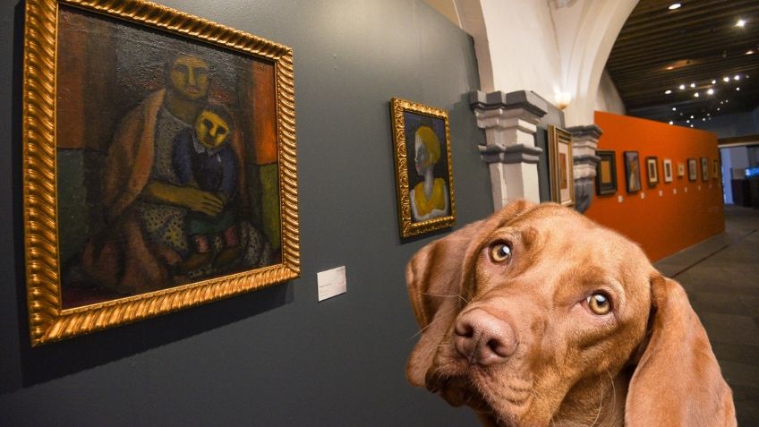 ¿Un museo repleto de perritos? Llega a la CDMX una exposición dedicada al mejor amigo del hombre