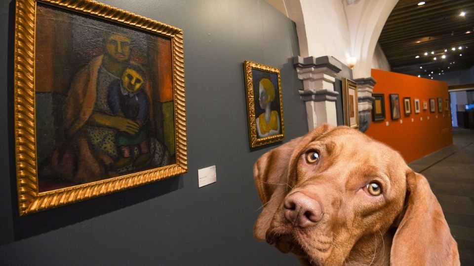 Podrás acudir al Museo Tamayo en compañía de tu mascota canina