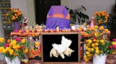 Día de Muertos: ¿Cuándo se coloca el altar para los lomitos y los michis?