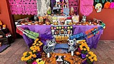 Día de Muertos 2023: elementos que tiene que llevar sí o sí tu altar para mascotas