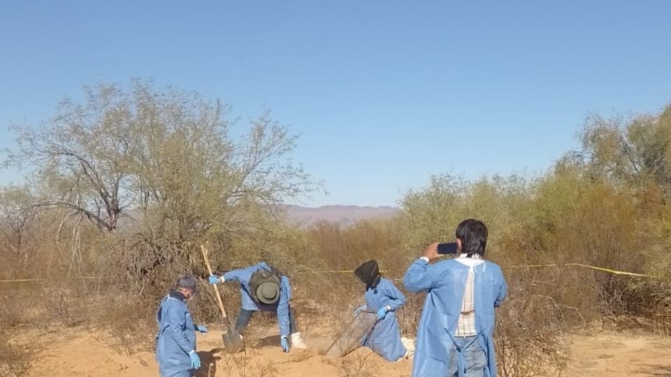 También se encontró un crematorio clandestino en la costa de Hermosillo.