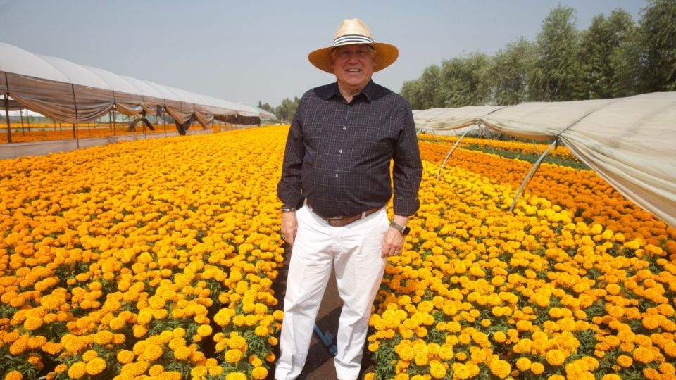 Al inaugurar la Romería Flor de Cempasúchil 2023, en la Ciudad de México, el secretario de Agricultura y Desarrollo Rural, Víctor Villalobos Arámbula, señaló que a nivel nacional se conformó la Red de Cempasúchil