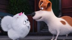 "La vida secreta de tus mascotas": Si pausa la película a los 13 minutos con 20 segundos, verás algo imperdonable